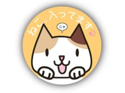 画像2: ねこ、入ってますクリッキー（三毛）