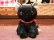 画像1: ぬいぐるみMSサイズ　黒猫 (1)