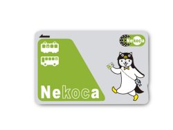 画像1: Nekoca-Z ステッカー
