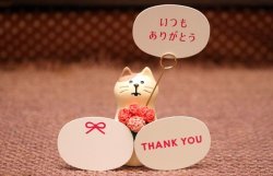 画像5: 贈りものカードスタンド　カーネーション猫