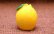 画像3: フルーツ猫だるま　レモン (3)