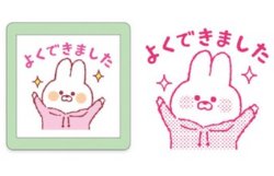 画像3: うさぎのムーちゃん浸透印スタンプ　よくできました