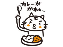 画像1: カレーがかれぇ。。。ねこ　ホワイト