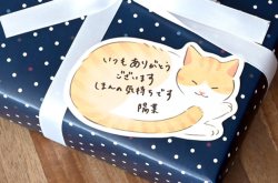 画像5: メッセージカード　ふんわかねこ