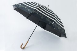 画像1: 【晴雨兼用】ボーダーと猫と音符ショート傘　黒