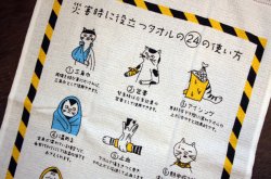 画像3: うすいかるいながいタオル 災害時に役に立つタオルの24の使い方