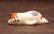 画像4: うだうだねこ　三毛 (4)