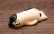 画像1: うだうだねこ　はちわれ (1)