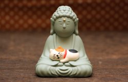画像1: 子猫と大仏