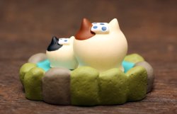 画像3: 温泉親子猫