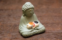 画像4: 子猫と大仏