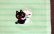 画像3: 白黒猫ちゃん刺繍ミニタオルハンカチ　緑 (3)