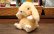 画像2: もこもこロップイヤー ベージュ (2)
