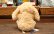 画像3: もこもこロップイヤー ベージュ (3)