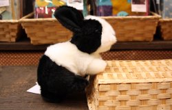画像3: 白黒うさぎぬいぐるみ