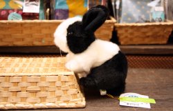 画像1: 白黒うさぎぬいぐるみ