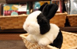 画像5: 白黒うさぎぬいぐるみ