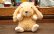 画像1: もこもこロップイヤー ベージュ (1)