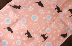画像2: おしゃれ手ぬぐいたおる　花と猫