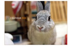 画像1: 2026　かばいいカレンダー