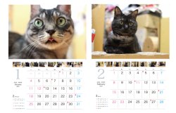 画像2: 2026　黒いカレンダー