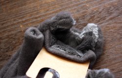 画像2: ネコファー 指ぬきグローブ　ダークグレイ