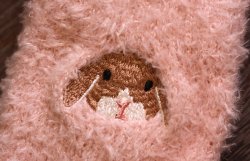 画像2: ルームソックス たれ耳（ ピンク）