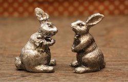 画像1: シルバーラビット