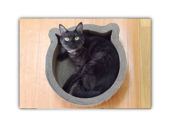 画像1: ポストカード　 猫顔ラウンジ (1)