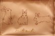 画像2: milimili デイリーポーチ うさぎ (2)