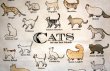 画像4: トートバッグL   猫図鑑 (4)