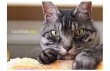 画像1: 2026　黒いカレンダー (1)
