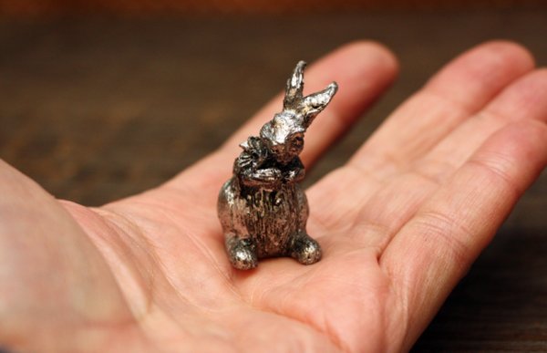 画像5: シルバーラビット (5)