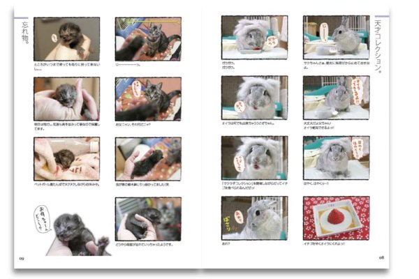 画像3: かばいい本2 (3)